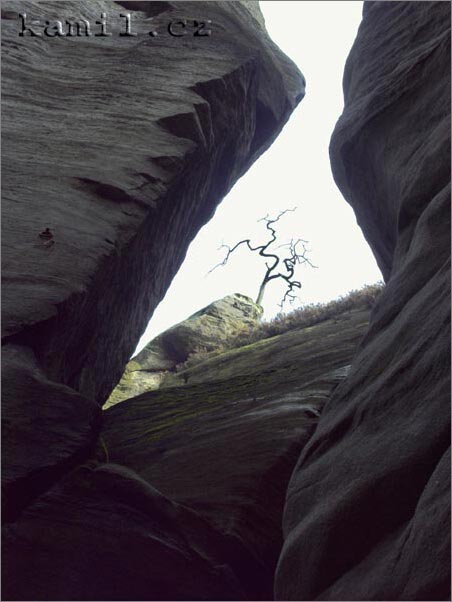 Adršpašské skály, duben 2006