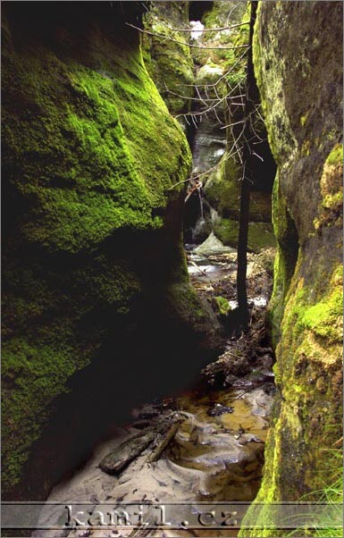 Adršpašské skály, duben 2006