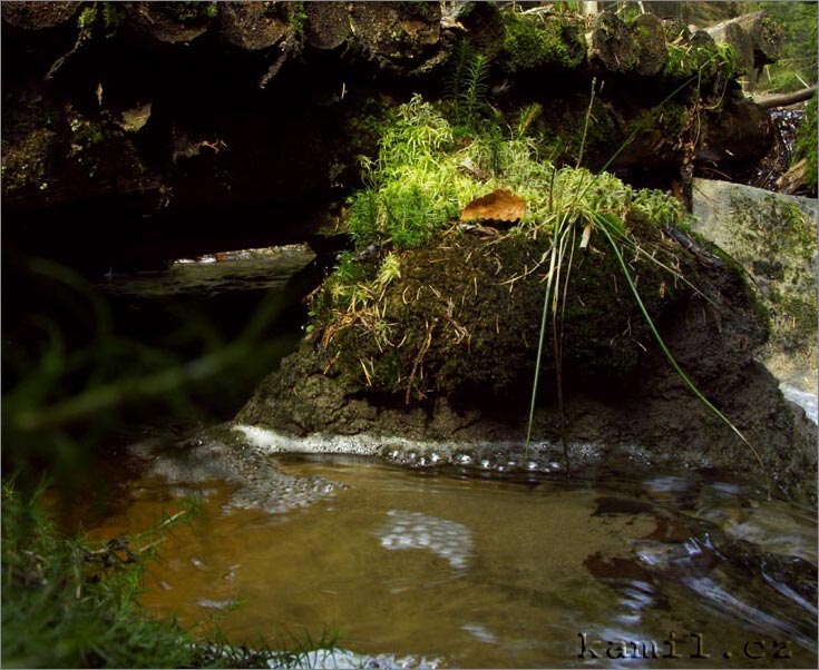 Adršpašské skály, duben 2006