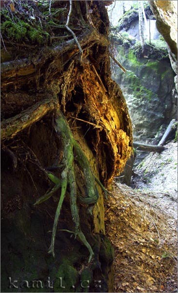 Adršpašské skály, duben 2006
