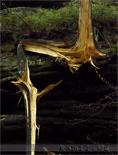 Teplické skály, duben 2006