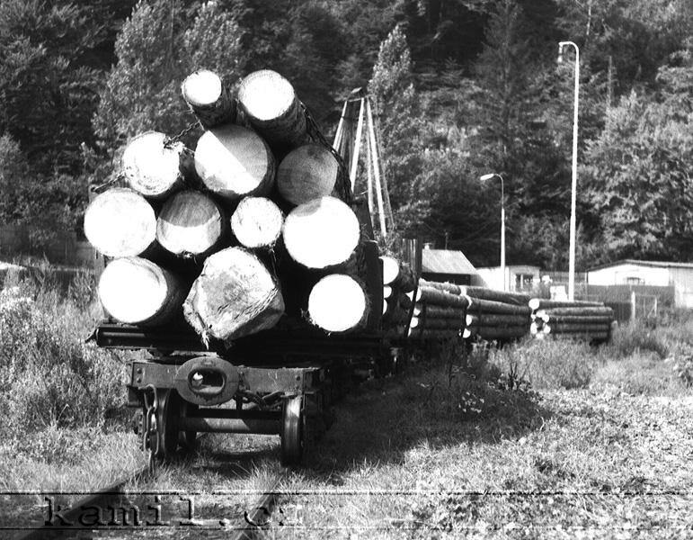 �IERNY BALOG, �.H.L.D., hlavn� tra� - 1982