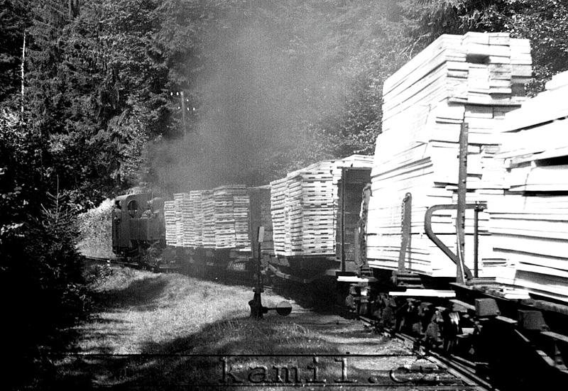 �IERNY BALOG, �.H.L.D., hlavn� tra� - 1982