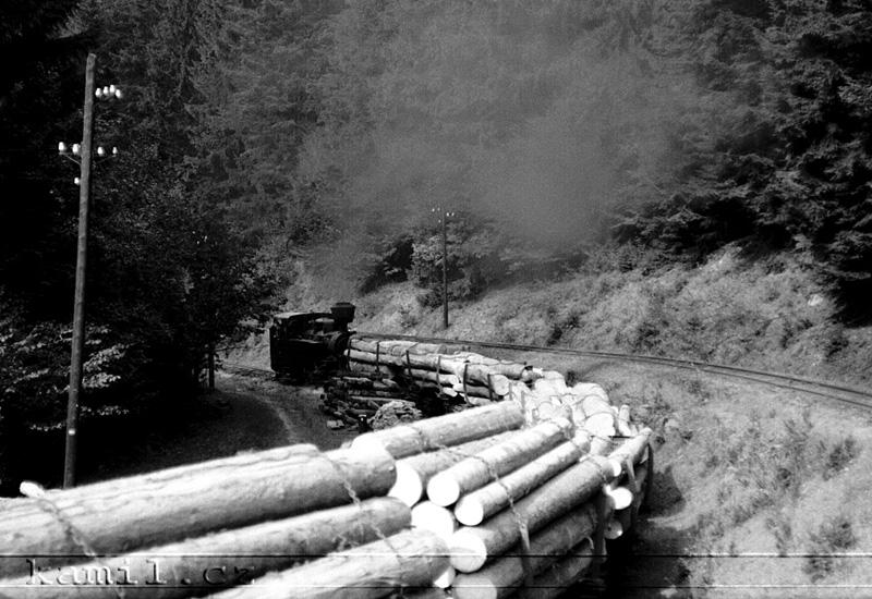 �IERNY BALOG, �.H.L.D., hlavn� tra� - 1982