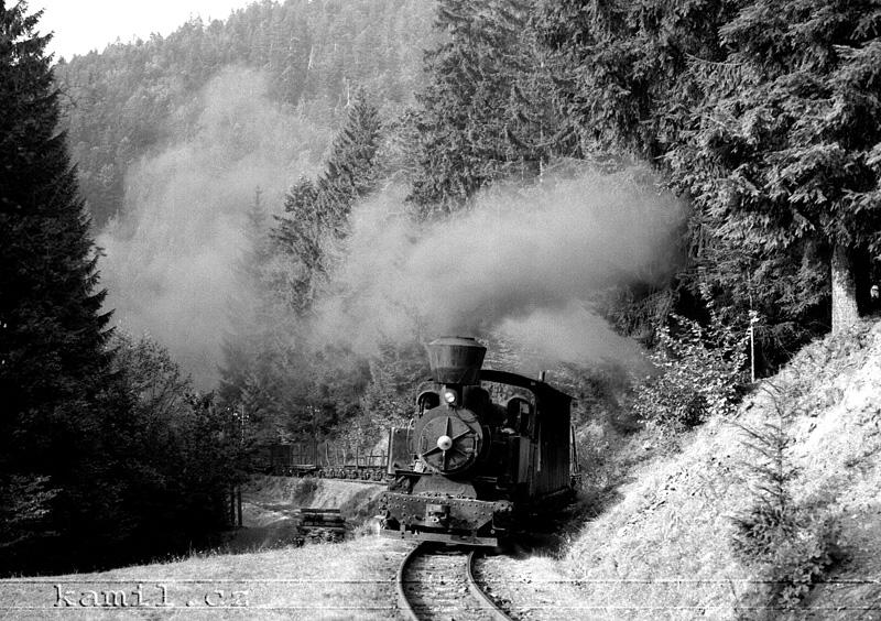 �IERNY BALOG, �.H.L.D., hlavn� tra� - 1982