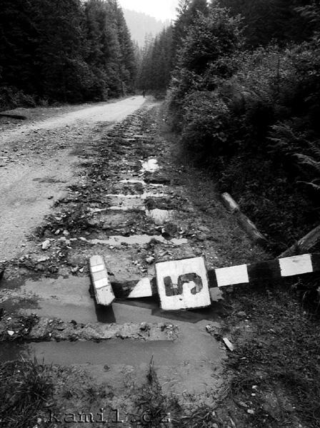 �IERNY BALOG, t�bory Stromu �ivota - 1983-4