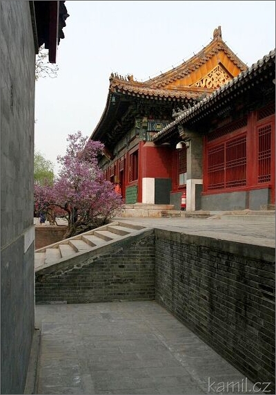Beijing - Yonghegong [Junk-che-kunk]