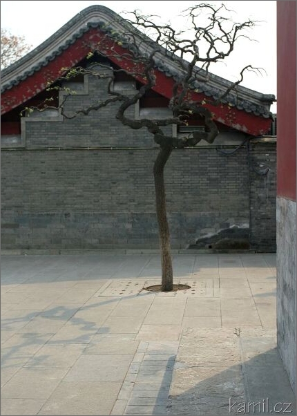 Beijing - Zakázané město - Gugong [Ku-kunk]