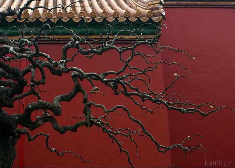 Beijing - Zakázané město - Gugong [Ku-kunk]