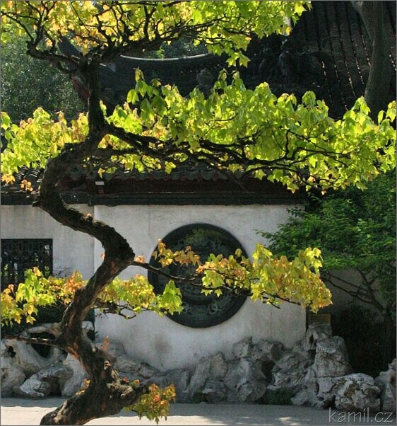 Shanghai [Šank-chaj] - zahrada Yuyuan [Jüjüan]