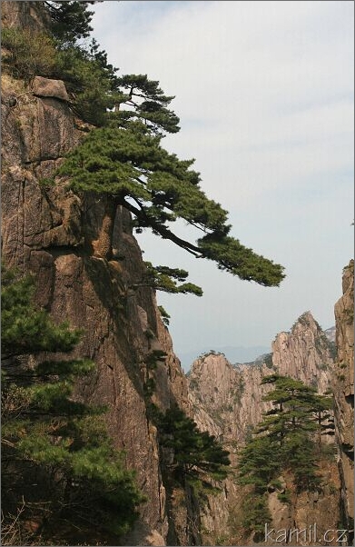 Žluté hory - Huangshan [Chuank-šan]