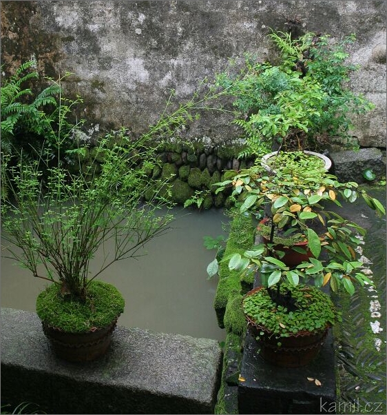 Hongcun [Chunk-cchun]