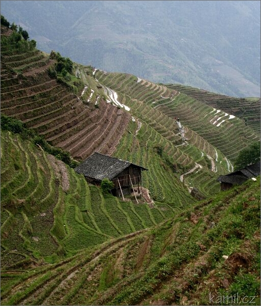 china 2007 - rýžové terasy na Dračím hřbetu