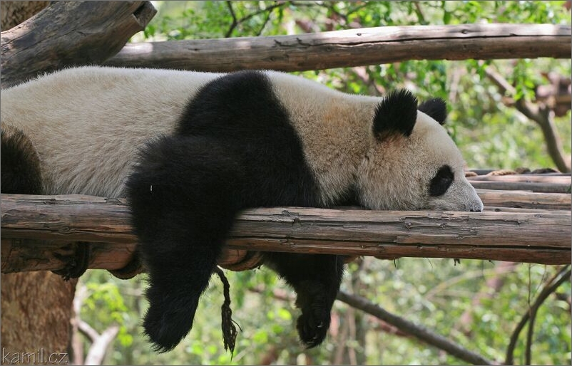 Chengdu [Čchenk-tu]