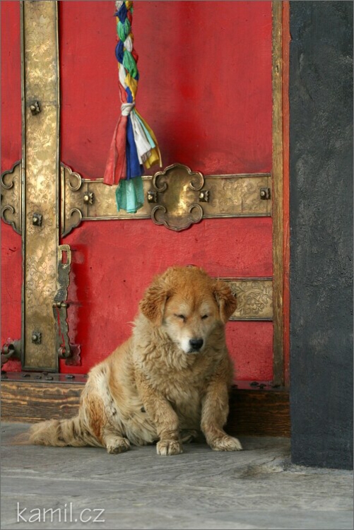 Shigatse [Šikace] / Rikaze [Žikadze]