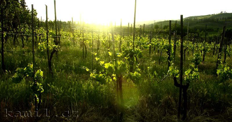 Italia, tosk�nsk� venkov - kv�ten 2005