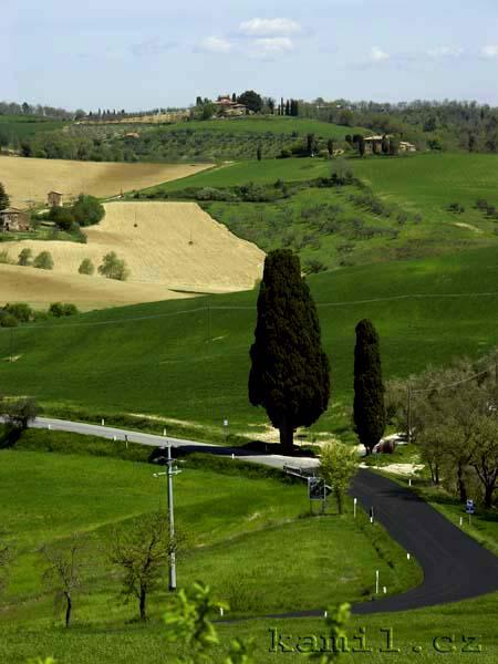 Italia, tosk�nsk� venkov - kv�ten 2005