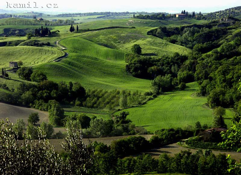 Italia, tosk�nsk� venkov - kv�ten 2005