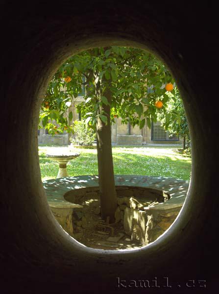 Italia, n�ladovky - kv�ten 2005