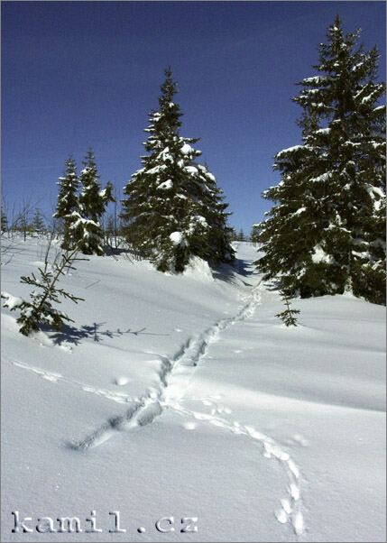 Krkonoše - březen 2006