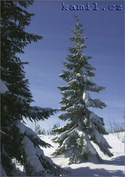 Krkonoše - březen 2006