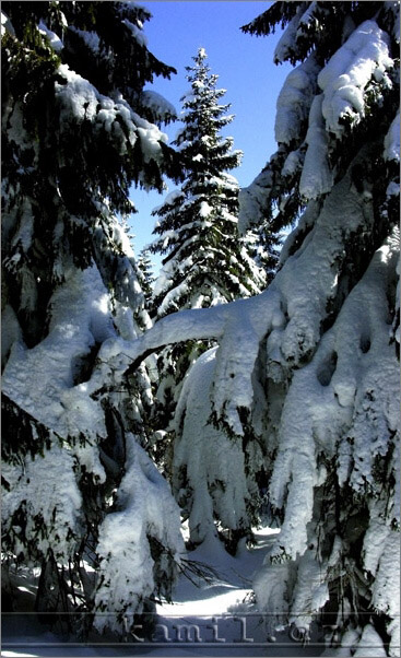 Krkonoše - březen 2006