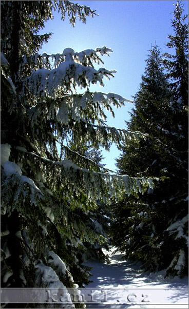 Krkonoše - březen 2006