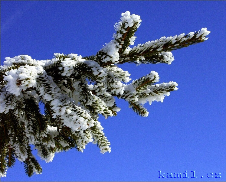 Krkonoše - březen 2006