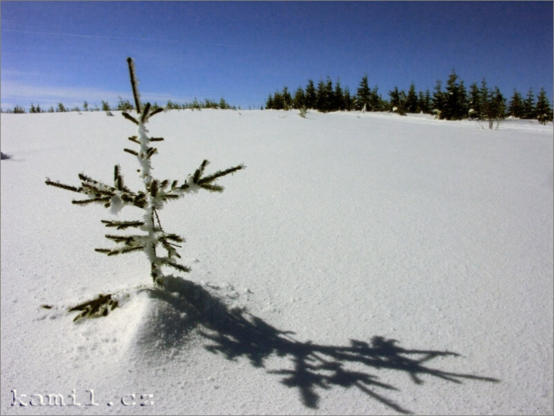 Krkonoše - březen 2006