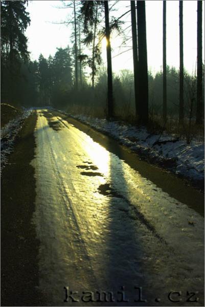 Konopi�t�, 28.1.2006