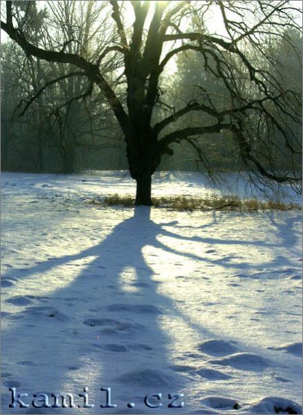 Konopi�t�, 28.1.2006