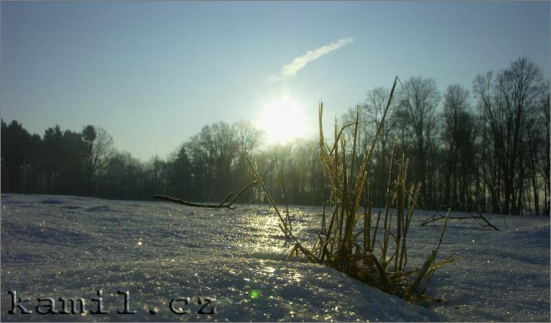 Konopi�t�, 28.1.2006