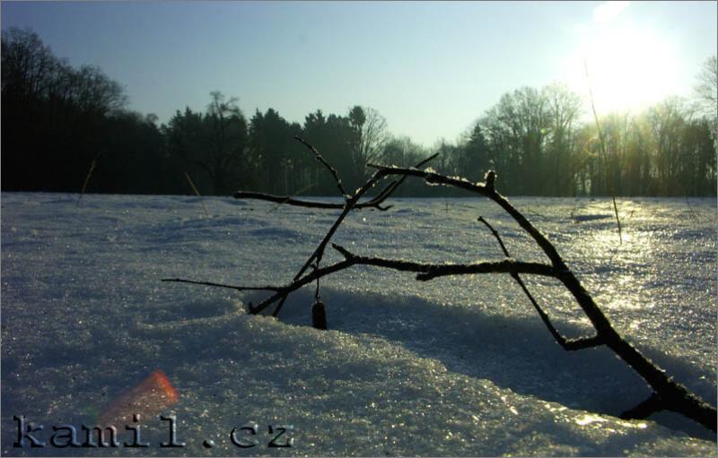 Konopi�t�, 28.1.2006