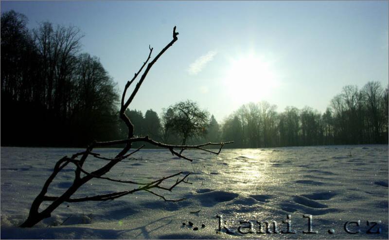 Konopi�t�, 28.1.2006