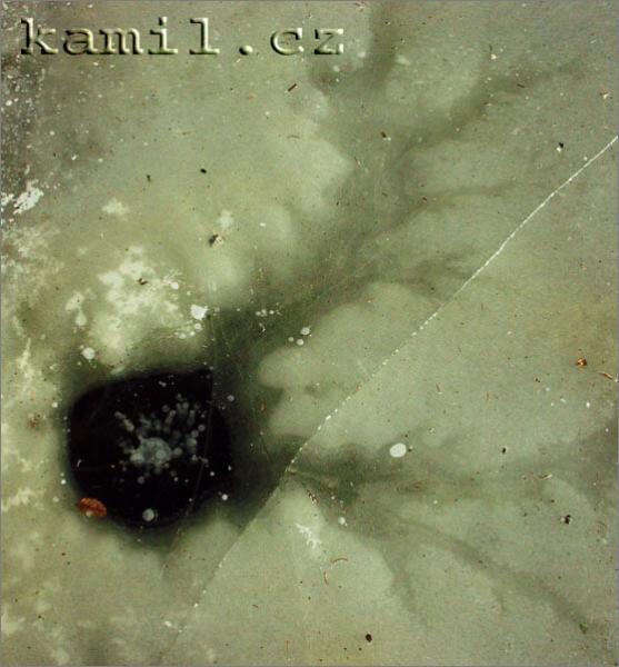 Konopi�t�, 28.1.2006