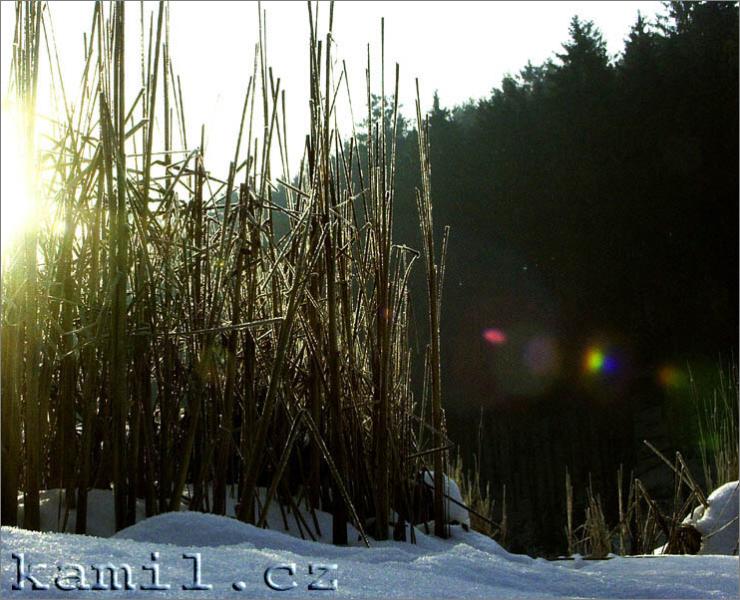 Konopi�t�, 28.1.2006