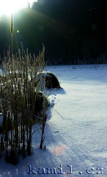 Konopi�t�, 28.1.2006