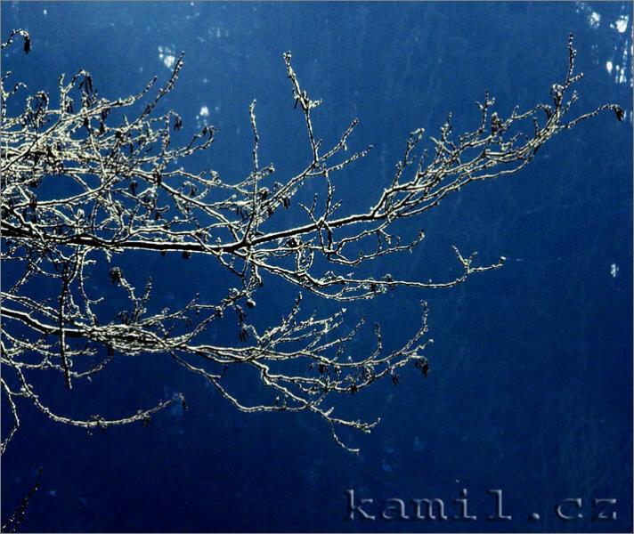 Konopi�t�, 28.1.2006