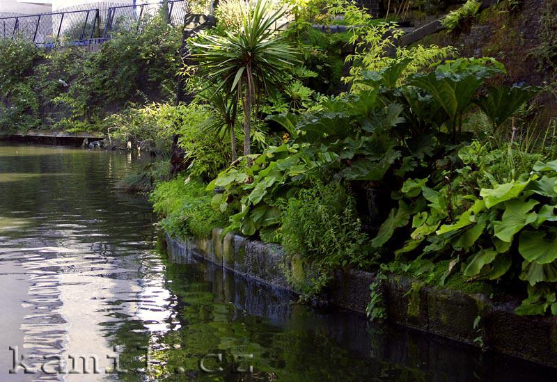 LONDON, British Museum, Regent�s Canal - srpen 2005