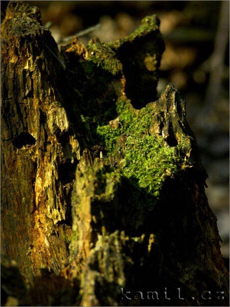 Mochov a okolí, duben 2006
