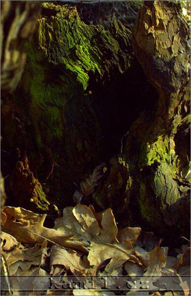 Mochov a okolí, duben 2006