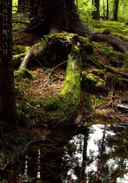 PODBLANICKO, srpen 2005