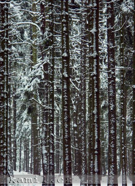 �ESK� R�J, Prachovsk� sk�ly - 1.1.2006