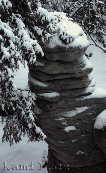 �ESK� R�J, Prachovsk� sk�ly - 1.1.2006