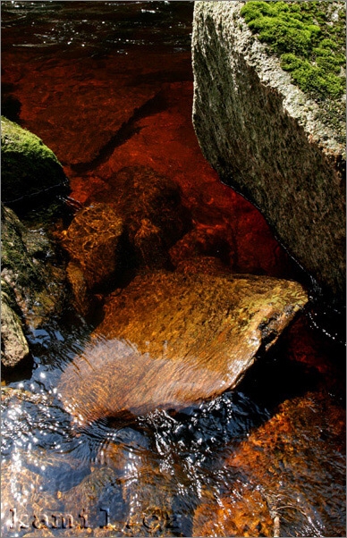 barvy Šumavy, léto 2006