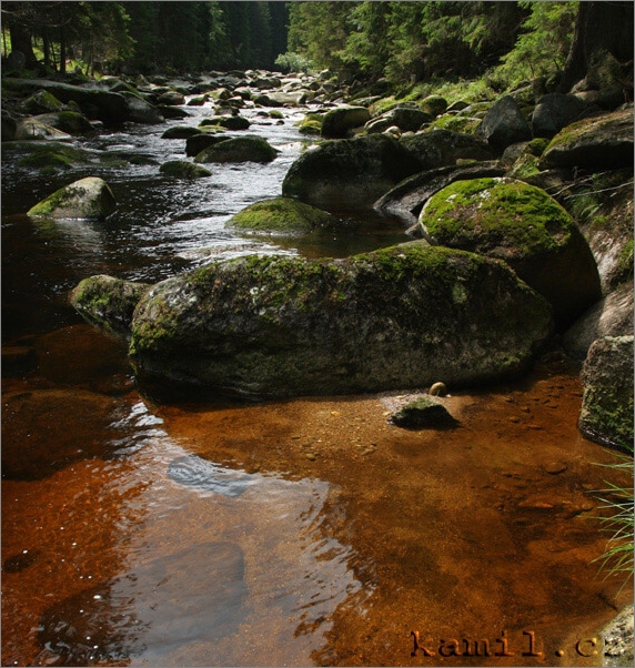 barvy Šumavy, léto 2006