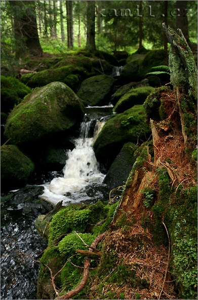 barvy Šumavy, léto 2006