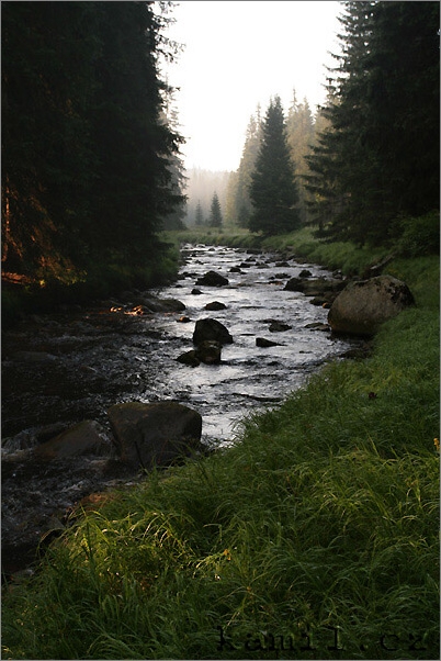 nálady Šumavy, léto 2006