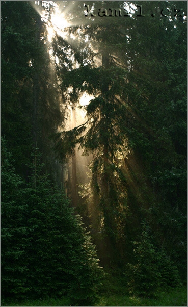 nálady Šumavy, léto 2006