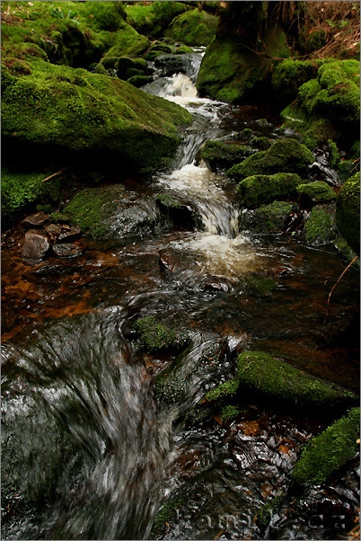 vody Šumavy, léto 2006